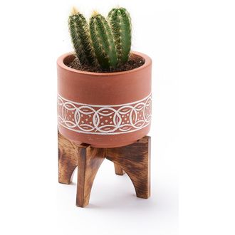 Matr Boomie Daksha Terracotta Plant Pot with Wood Stand - large at Nordstrom