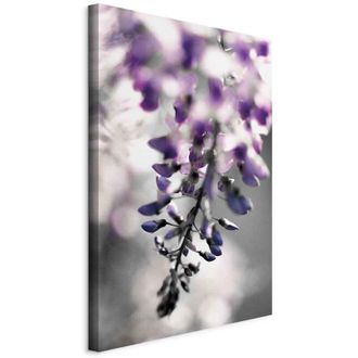 OEM Imagen - Campanas Moradas (1 Pieza) Vertical
