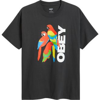 Obey Parrots Graphic T-Shirt in Vintage Black at Nordstrom, Size Xx-Large