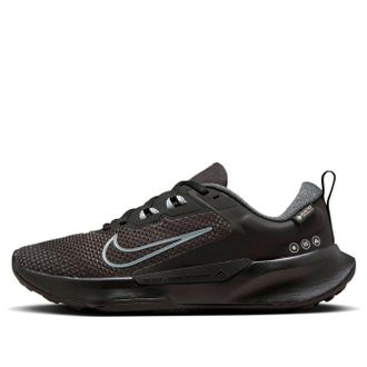 Nike (WMNS) Nike Pegasus Trail 4 GTX Waterproof Trail Running Shoes Black FB2065-001