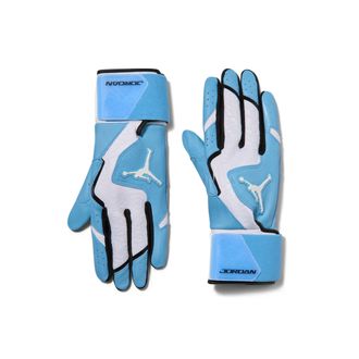 Nike Jordan Legend Baseball Long-Cuff Batting Gloves (1 Pair) in White | J1013373-157