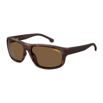 Carrera 8038/S 0086 SP Dark Havana/Brown Polarized