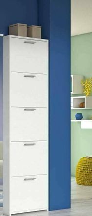 Dmora Zapatero Dafne, Mueble De Entrada Polivalente Con 5 Puertas, Zapatero Moderno Con Baldas, 100% Made In Italy, Cm 50x18h178, Blanco, Con Embalaje Refor