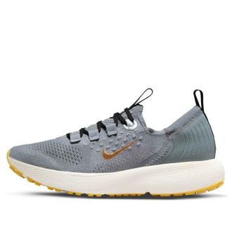 Nike (WMNS) Nike React Escape Run Flyknit Cool Grey Metallic Gold Coin DC4269-003