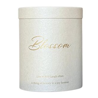 OEM Caja De Regalo Blanca, Elegante Jarr&oacute;n Redondo Para Flores, Cubo