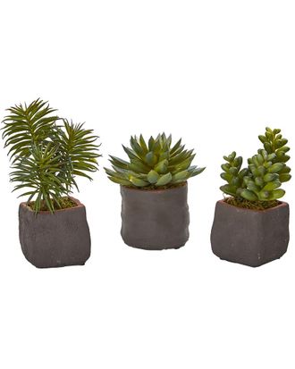 Nearly Natural Set Of 3 Mixed Succulent Artificial Plants