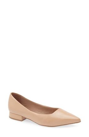 Bottero Alessandra Pointed Toe Ballet Flat in Brown Sugar at Nordstrom, Size 11