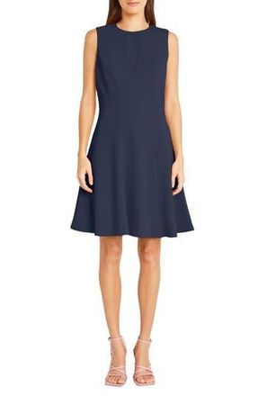 Maggy London Sleeveless Fit and Flare Dress in Navy Blazer at Nordstrom Rack, Size 12