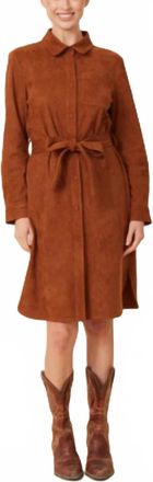 Dolce Cabo Faux Suede Belted Dress In Rust Brown