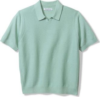 Tommy Bahama Capri Cove Johnny Collar Polo in Aquifer Heather at Nordstrom, Size Large
