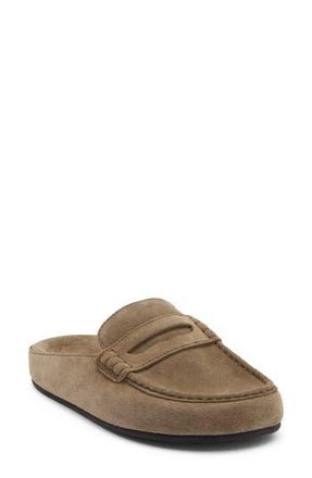 Jeffrey Campbell Flipper Mule in Light Khaki Suede at Nordstrom Rack, Size 8.5