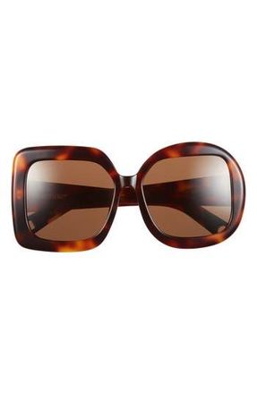 Jacquemus Carre Rond 56mm Square Sunglasses in Tortoise/Matte Black at Nordstrom Rack
