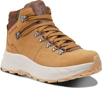 Dachstein Outdoor Gear Wanderschuh DACHSTEIN ATLAS GORE-TEX WMN, Gr. 37, braun (cognac), Leder, unifarben, Schuhe Wanderschuh, wasserdicht