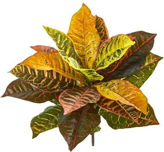 Nearly Natural 21-in Garden Croton Artificial Plant in Mixed at Nordstrom