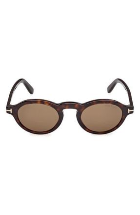 Tom Ford Aristotele 48mm Small Oval Sunglasses in Dark Havana /Roviex at Nordstrom