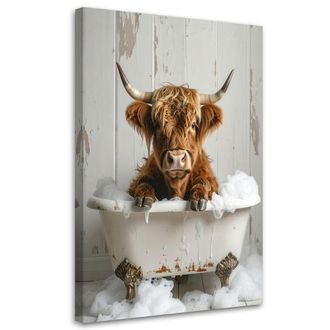 Feeby Cuadro En Lienzo, Vaca Escocesa Sentada En Una Ba&ntilde;era Con Espuma, 80x120
