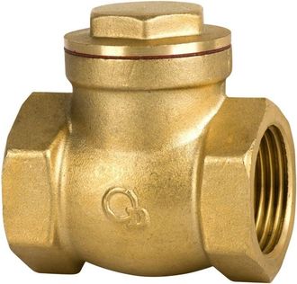 OEM V&aacute;lvula De Retenci&oacute;n De Clamp De 2 Pulgadas