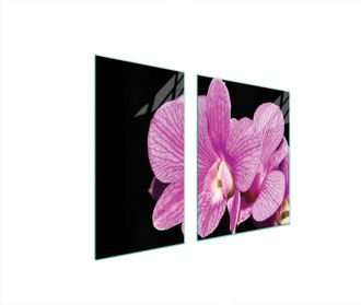OEM Piastra Protettiva In Vetro Per Stufa 90x52 Orchidea