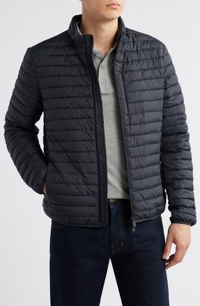 Save The Duck Cole Quilted Puffer Jacket in Black at Nordstrom, Size Large