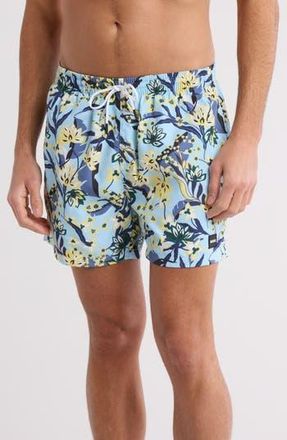 BOSS Piranha Swim Trunks in Light/Pastel Blue at Nordstrom Rack, Size Xx-Large