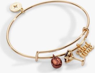 Alex and Ani Espresso Martini Multi Charm Bangle in Gold at Nordstrom