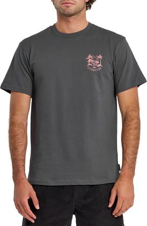 Quiksilver In the Wild Cotton Graphic T-Shirt in Iron Gate at Nordstrom, Size Xx-Large