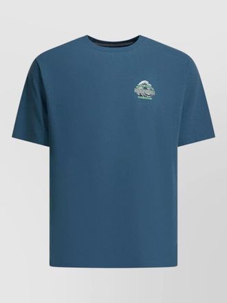 Patagonia t-shirt