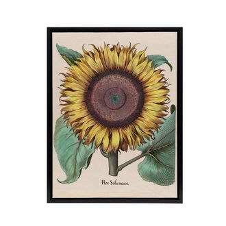 Artery8 Sunflower Flos Solis Maior Flower Framed Canvas Wall Art Print | Size: W24 x H32