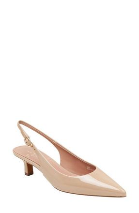 Linea Paolo Cecil Slingback Pointed Toe Kitten Heel Pump in Blush Taupe at Nordstrom, Size 6.5