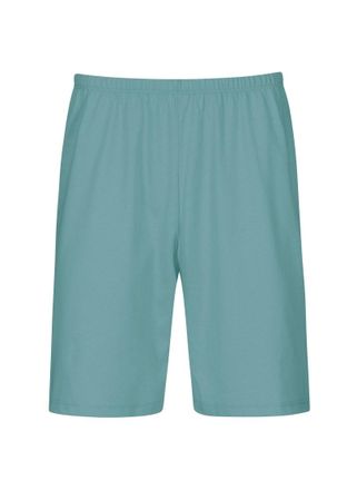 Trigema Bermudas TRIGEMA TRIGEMA Bermuda aus 100% Baumwolle, Herren, Gr. XXL, US-Gr&ouml;ssen, gr&uuml;n (seegras), 100% Baumwolle, Basic, Hosen Bermudas