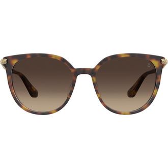 Stuart Weitzman 55mm Gradient Square Sunglasses in Havana/Brown Sf at Nordstrom