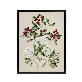 Artery8 New Zealand Maire Tawake Tree Flowers Featon Framed Canvas Wall Art in Beige | Size: W24 x H32