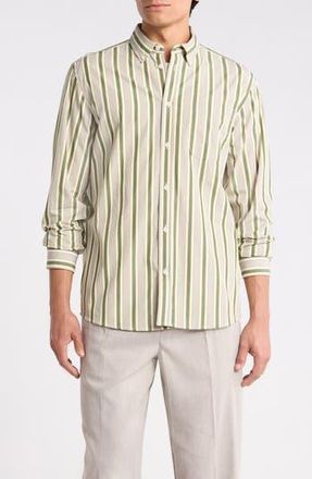 Les Deux Kent Stripe Peached Organic Cotton Poplin Button-Down Shirt in Chive Green/Thai Curry at Nordstrom Rack, Size Xx-Large