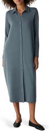 Eileen Fisher Long Sleeve Oval Jersey Shirtdress in Eucalyptus at Nordstrom, Size Xx-Small