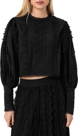 AllSaints Hart Lace Embroidered Bishop Sleeve Top in Black at Nordstrom, Size 12 Us