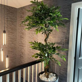 Leaf 150cm Twisted Trunk Artificial Japanese Fruticosa Style Ficus Tree in Green