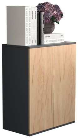 ebuy24 Vcm Caja De Cajones De Madera Sideboard Con Puertas Giratorias Dimensiones Aprox. Al. 73 X An. 60 X P. 32 Cm - Dalosa 2 (antracita / Roble Miel)