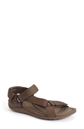 Strive Footwear Drift Waterproof Sandal in Chocolate at Nordstrom, Size 8.5