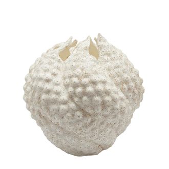 Schubiger M&ouml;bel Vase Deluxe Ursula Porzellan Weiss H: 37 cm