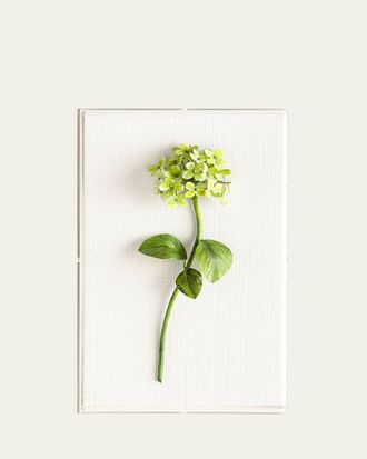 Tommy Mitchell Original Painted Hydrangea Study