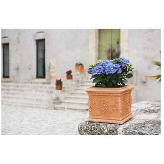 Monacis Vaso De Pol&iacute;mero Monacis Cuadrado Uva Impruneta Cm25 (23x23x20h)
