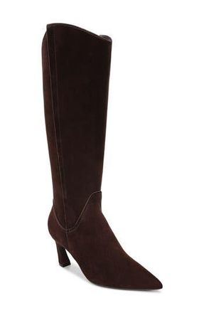 Naturalizer Emily Pointed Toe Knee High Boot in Chocolate Bar Brown at Nordstrom Rack, Size 6.5 Regular Calf