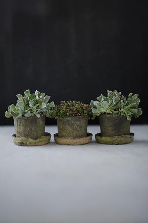 Terrain Earth Fired Clay Mini Pot + Saucer, Set of 3
