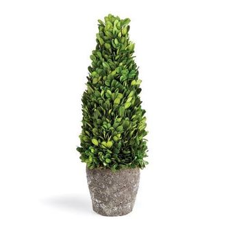 Napa Home & Garden Boxwood Cone Topiary Drop-In 16 in Green at Nordstrom