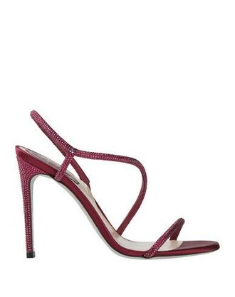 Rene Caovilla Sandals