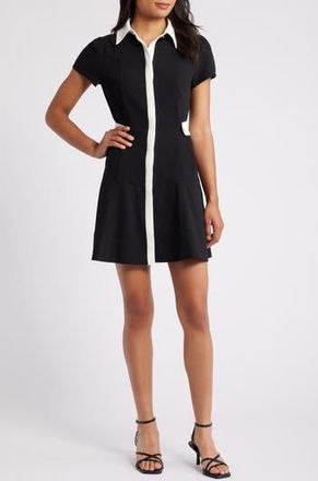 CeCe by Cynthia Steffe Puff Sleeve Fit & Flare Shirtdress in Rich Black at Nordstrom Rack, Size 14