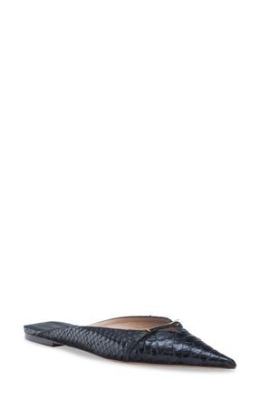 Tom Ford Python Embossed Pointed Toe Mule in Black at Nordstrom, Size 10.5Us