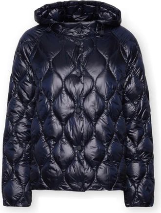 Elena Miro Lichtgewicht Gewatteerde Nylon Donsjack - Dames - Gewatteerde jassen - Blauw - XL - Nylon - Jassen