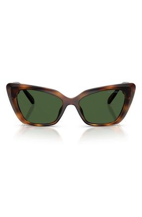 Swarovski 54mm Cat Eye Sunglasses in Havana /Dark Green at Nordstrom