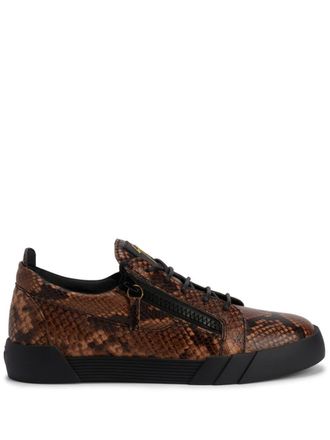 Giuseppe Zanotti Frankie sneakers met slangenhuidprint - Bruin